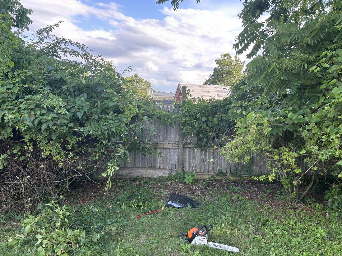 Overgrown fence line buried in vines and brush before clearing, Christiansburg, VA