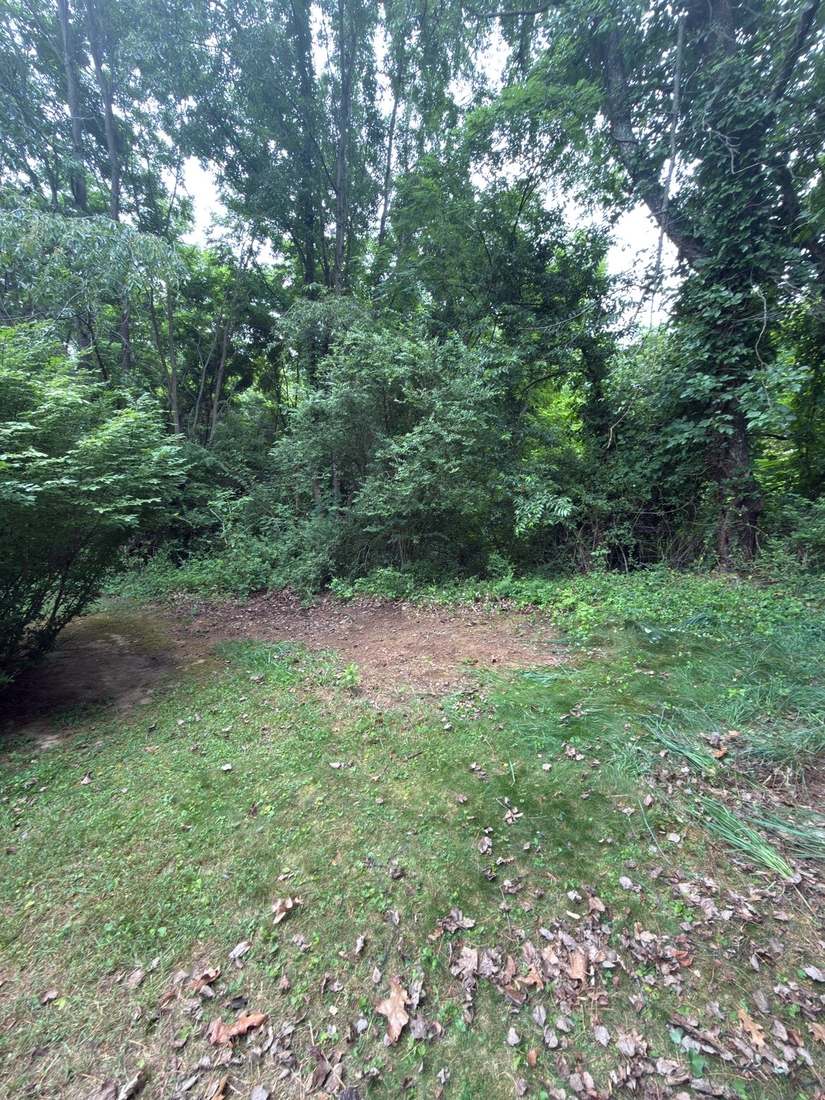 Same tree line cleared back to a tidy boundary after lot clearing, New River Valley, VA