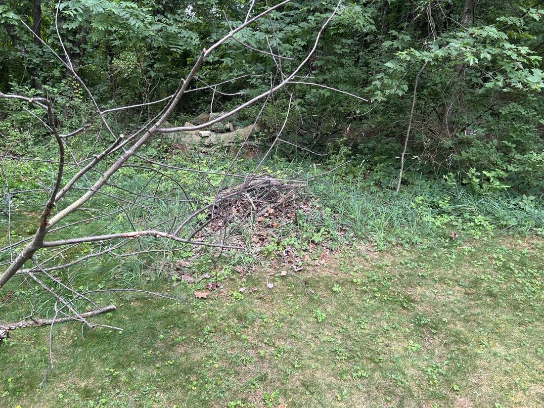 Storm limbs gathered into a single managed pile with the yard cleared, New River Valley, VA
