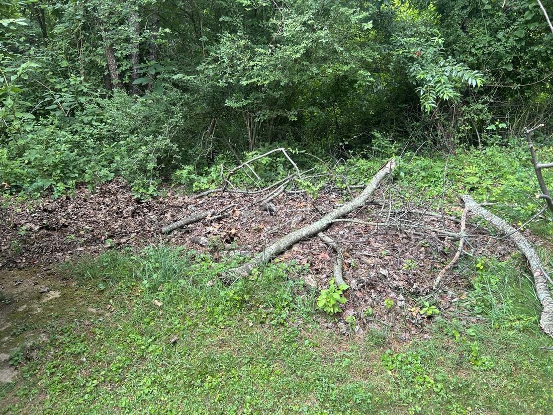 Fallen limbs and branches scattered across a yard after a storm, New River Valley, VA